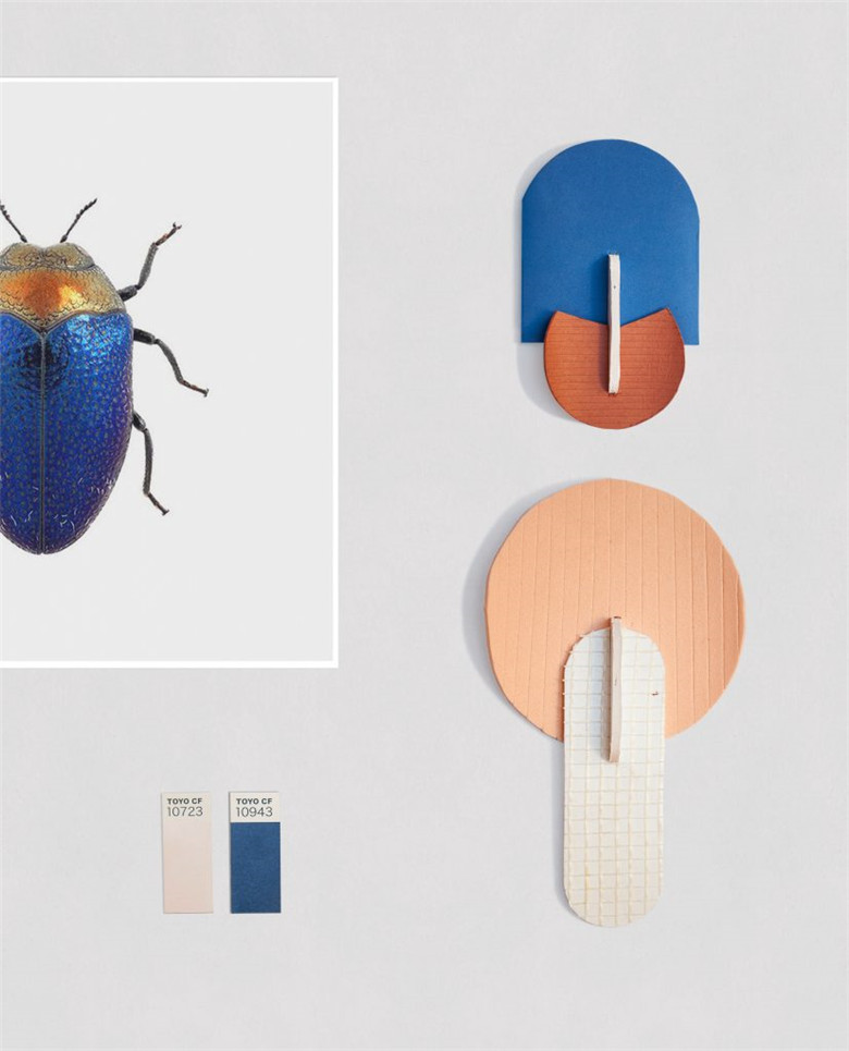 BEETLE-MOODBOARD-1-827x1024.jpg
