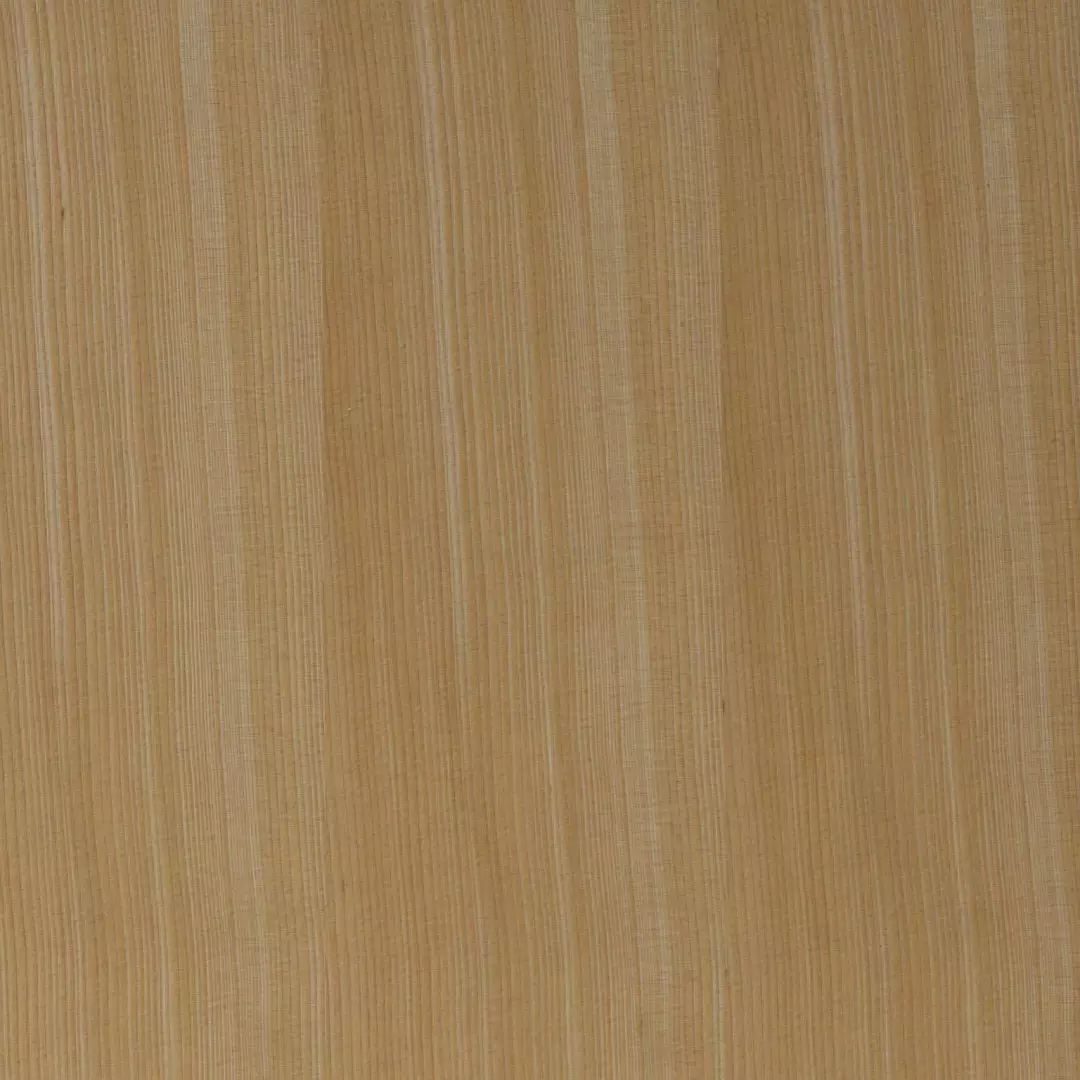 木材一般呈浅棕色,纹理直,结构均匀.